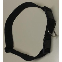 Ceinture ECO - Canicross