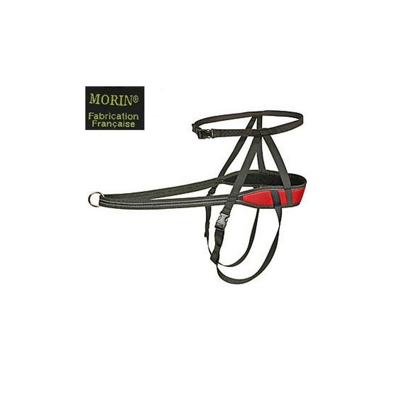 Ceinture Baudrier Canicross SPEED TRAIL