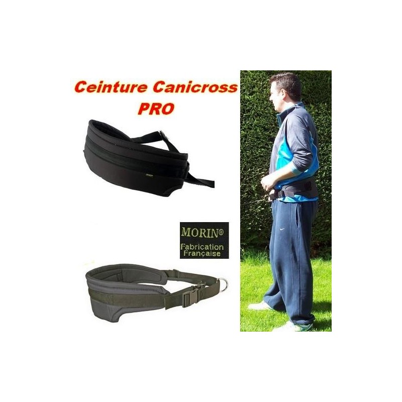 Ceinture PRO Canicross