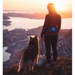 Ceinture Ferd Belt NON-STOP Dogwear Taille L