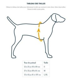 Kit Canicross & Ski Joering - Omnijore Ruffwear - Baudrier + harnais Medium