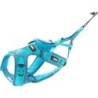 Harnais Canicross I-DOG ALM - Phoenix Taille XXS