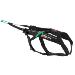 Harnais Freemotion -...