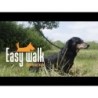 Easy Walk Handheld Noir - Mini