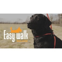 Modèle d'épaule Easy Walk Noir - Régulier
