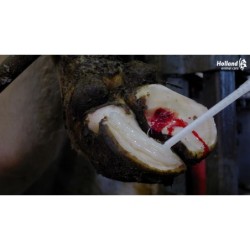 Excellent bloc de sabot facile en bois - 11 cm