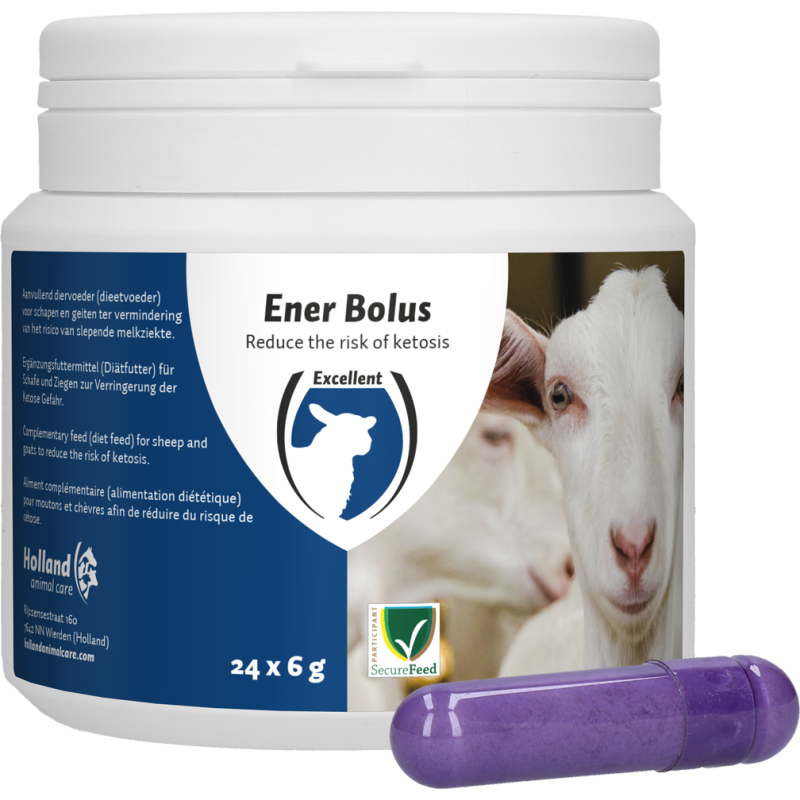 Excellent bolus énergétique pour moutons et chèvres