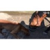 Excellent Horse Total Balance 2,5 l
