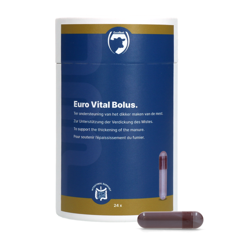 Excellent Euro-Vital Bolus 24 x 10 g