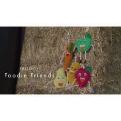 Excellent Horse Foodie Friends Ananas