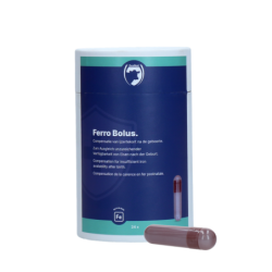 Excellent Ferro Bolus 24 x 9 g