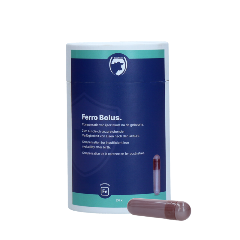Excellent Ferro Bolus 24 x 9 g