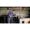 Excellent Ferro Bolus 24 x 9 g