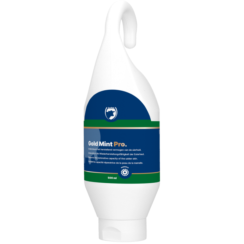 Excellente bouteille Gold Mint Pro debout/suspendue 500 ml