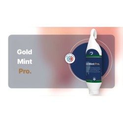 Excellente bouteille Gold Mint Pro debout/suspendue 1 l
