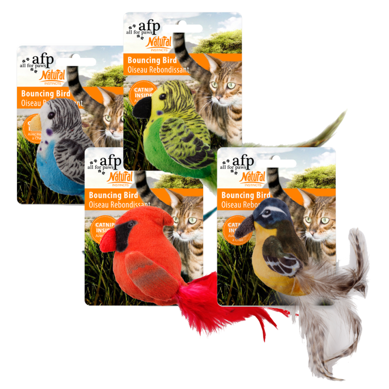 AFP Instincts naturels - Oiseau rebondissant