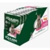 Equilibre et Instinct - Effilés chat, saumon, ananas et cranberries  12 pochons de 85g