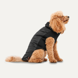 Veste portefeuille...