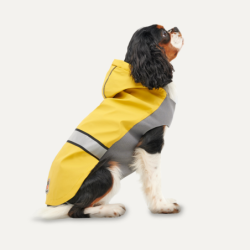Imperméable réfléchissant à...