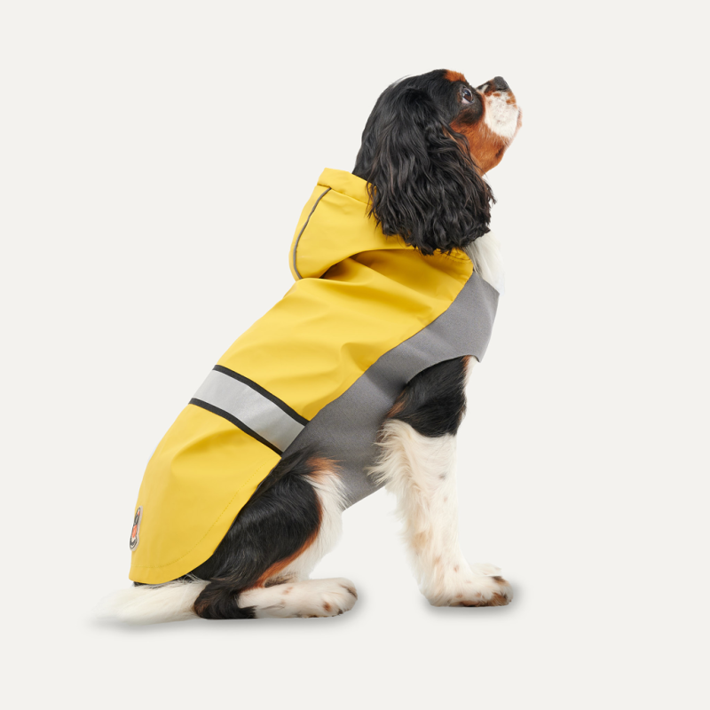 Imperméable réfléchissant à capuche Goo-eez XL Jaune/Gris