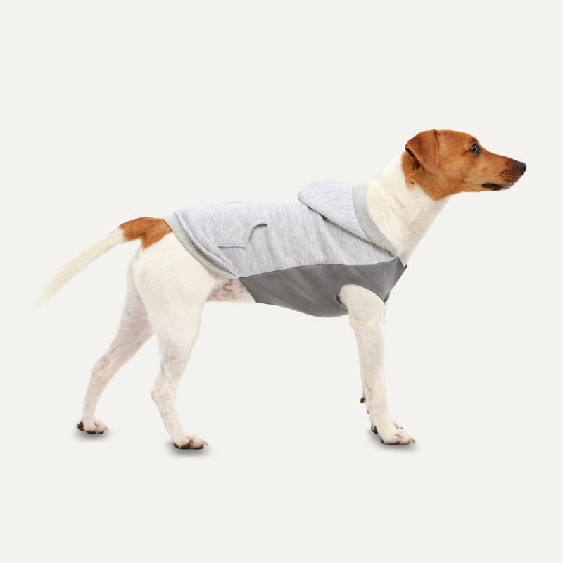 Sweat à capuche en polaire kangourou Goo-eez XS Gris
