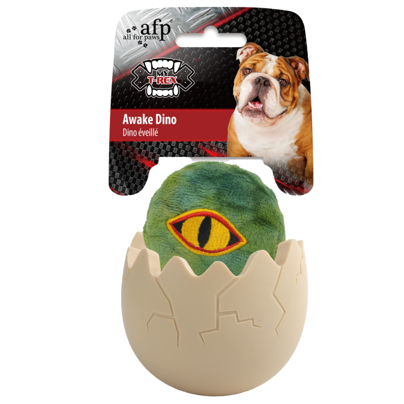 AFP Mon dinosaure T-Rex éveillé