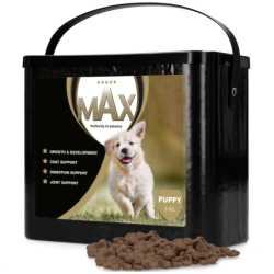Chiot Max 3 kg