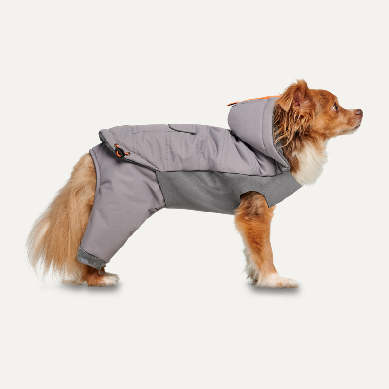 Combinaison de neige intégrale à capuche Goo-eez XS Gris