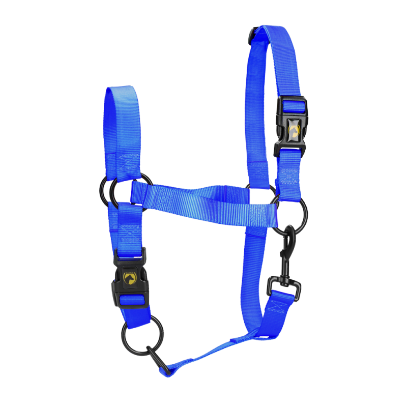 Excellent licol essentiel bleu XS