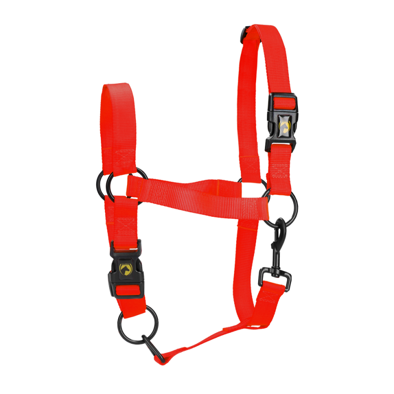 Excellent licol essentiel rouge S