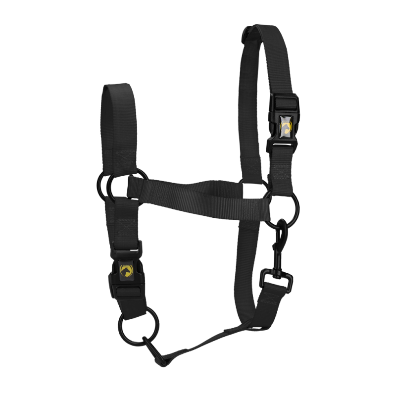 Excellent licol essentiel noir S