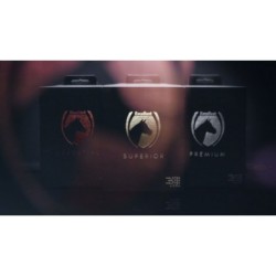Excellent licol essentiel noir S