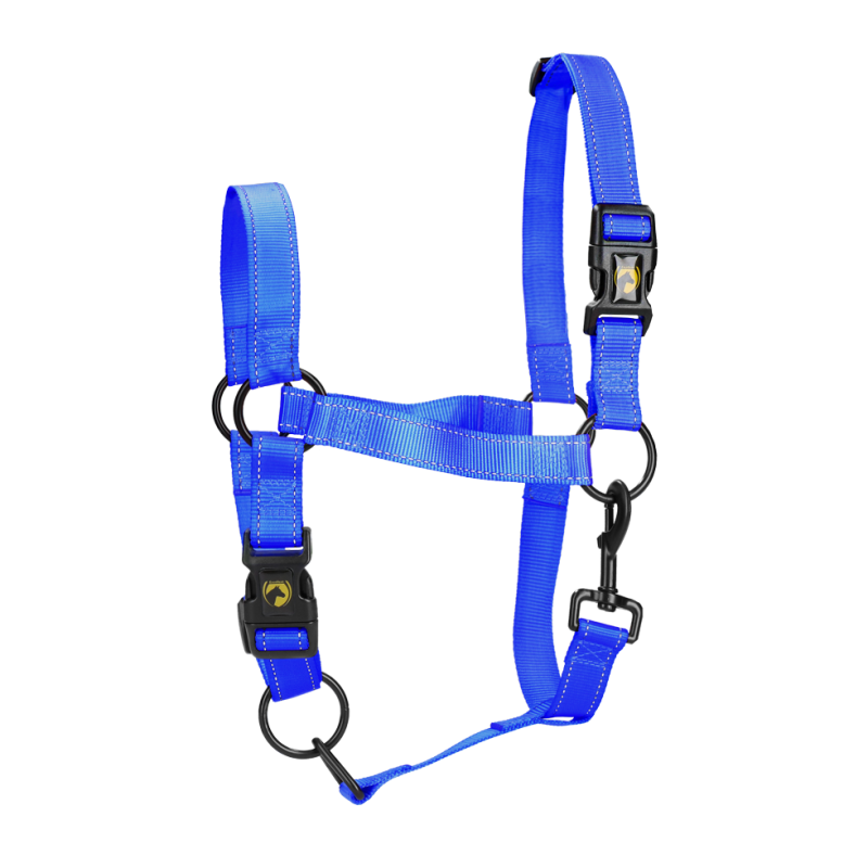 Excellent licol Premium Bleu XS