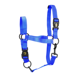 Excellent licol Premium Bleu S