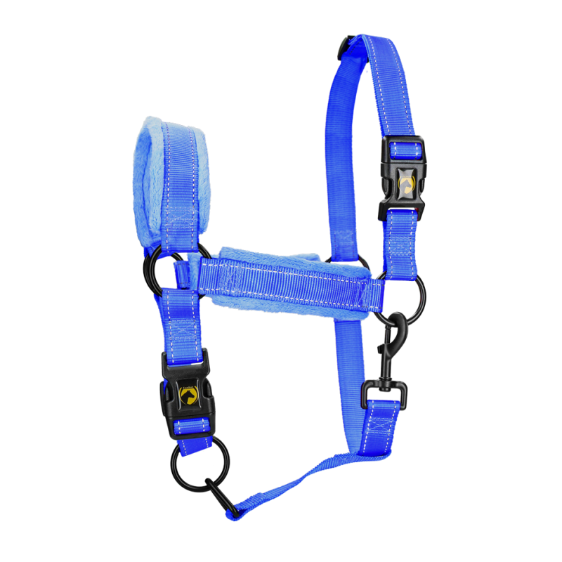 Excellent Licol Supérieur Bleu XL