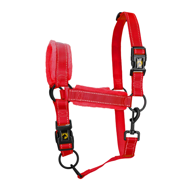 Excellent Licol Supérieur Rouge XL