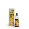 Huile HempOne Excellent Pets 10 ml