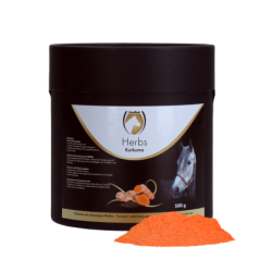 Curcuma Excellent Horse...