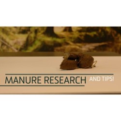 Excellent Horse Herbs Graines de plantain 1,2 kg