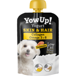 YowUp! Chiens au yaourt,...