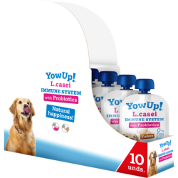 YowUp! L. Casei, chien dindon au système immunitaire