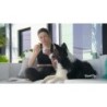 YowUp! L. Casei, chien dindon au système immunitaire