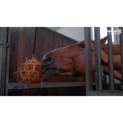 Distributeur de foin lent Fun & Flex Orange
