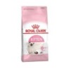 Croquettes Royal Canin Kitten pour chat  2kg