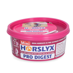 Mini-résumé Horslyx