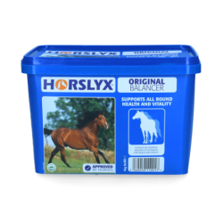 Horslyx 5 kilos Original