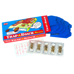 HoyHoy Trap-A-Roach, lot de 5