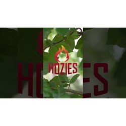 Hozies Jeffrey Jungle S