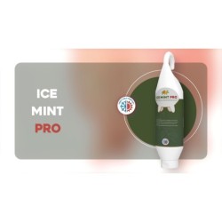 Gel Pro Menthe Glacée Tube à Poser/Suspendre 250 ml
