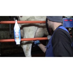 Gel Menthe Glacée Bouteille sur pied et à suspendre 1 l